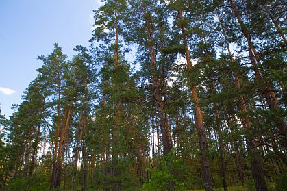 Поток туристов в Оренбуржье растет